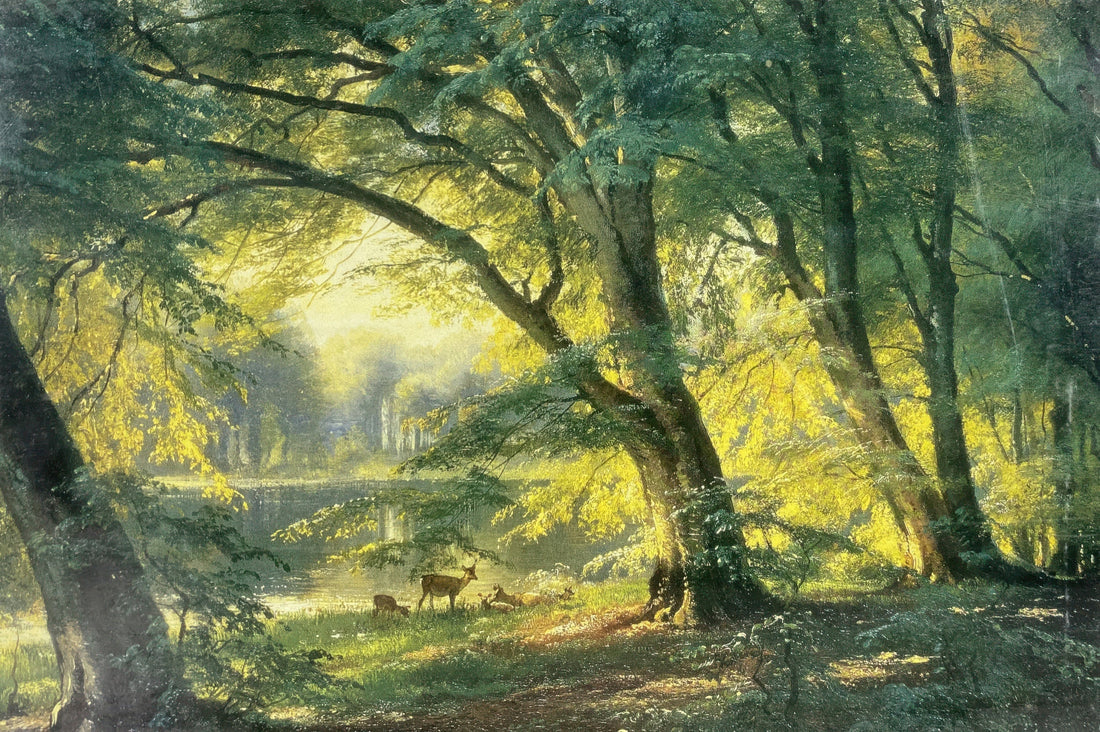 appleone-1000-263-sunny-forest-1000-pieces-jigsaw-puzzle