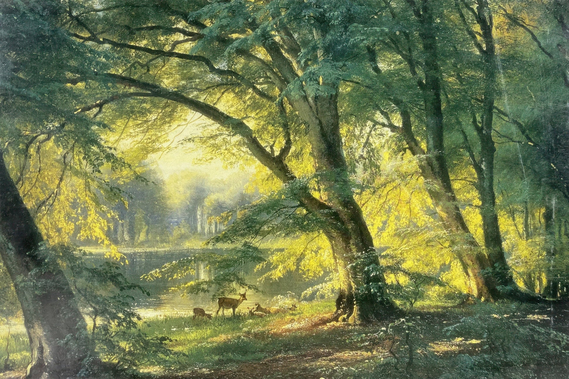 appleone-1000-263-sunny-forest-1000-pieces-jigsaw-puzzle