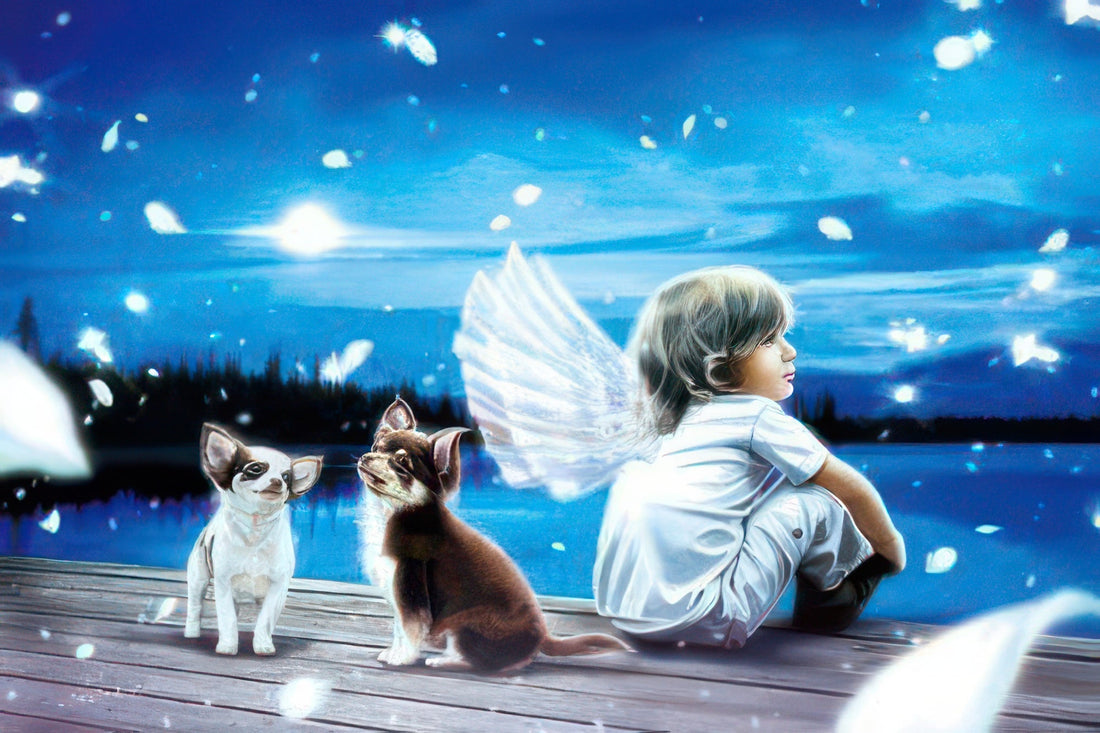 appleone-1000-682-eternal-1000-pieces-jigsaw-puzzle