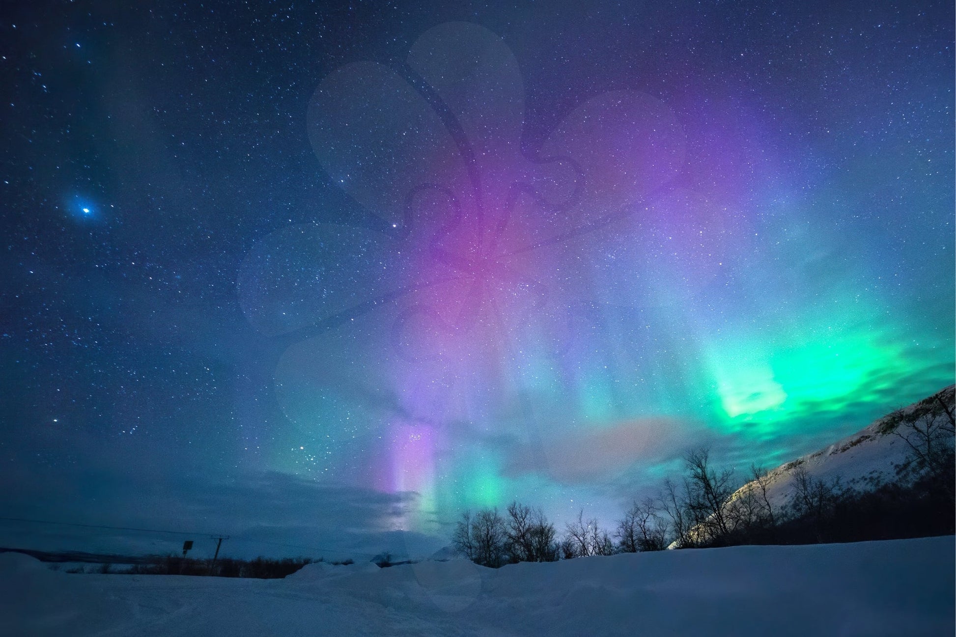 clover-s10-007-aurora-1000-jigsaw-puzzle