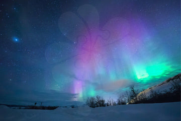 clover-s10-007-aurora-1000-jigsaw-puzzle