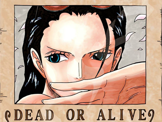 Ensky â€¢ One Piece â€¢ Nico Robin Bountyã€€208 PCSã€€Jigsaw Puzzle