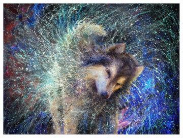 pintoo-h3620-iris-scott---shaking-water-husky-4800-pieces-jigsaw-puzzle